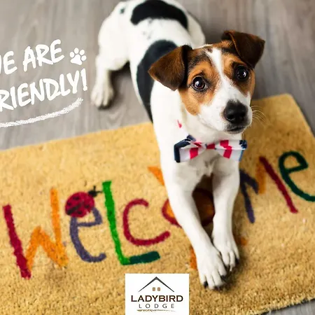 Ladybird Orman Evi Bela Crkva (Banat)