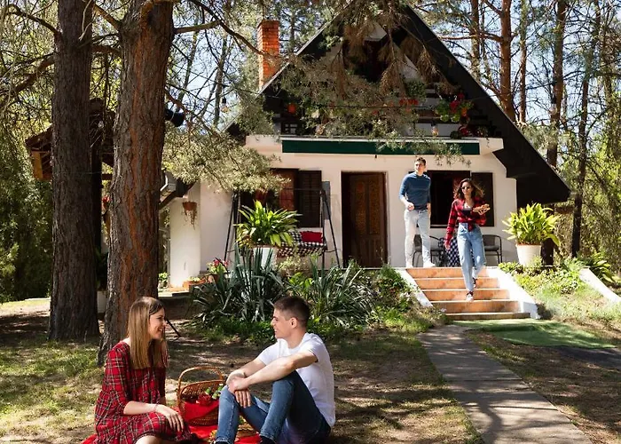 Ladybird Деревянный коттедж Бела-Црква