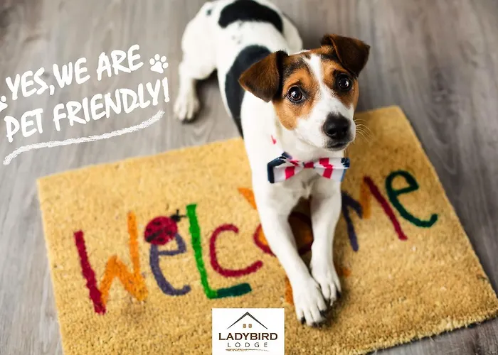 Ladybird Деревянный коттедж Бела-Црква